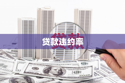 平度贷款违约率