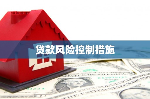平度贷款风险控制措施