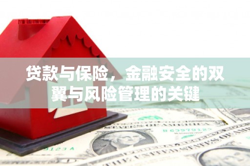 平度贷款与保险，金融安全的双翼与风险管理的关键