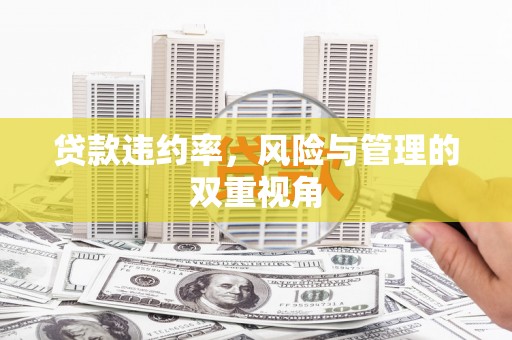 平度贷款违约率，风险与管理的双重视角
