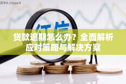 平度贷款逾期怎么办？全面解析应对策略与解决方案