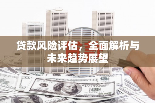 平度贷款风险评估，全面解析与未来趋势展望