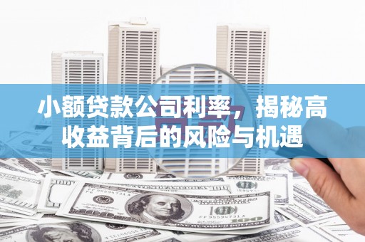 平度小额贷款公司利率，揭秘高收益背后的风险与机遇