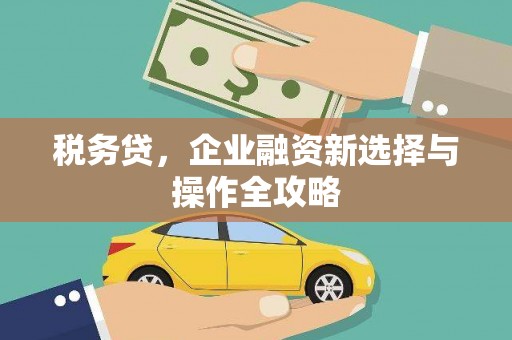 平度税务贷，企业融资新选择与操作全攻略