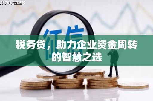 平度税务贷，助力企业资金周转的智慧之选