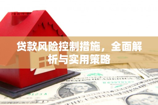 平度贷款风险控制措施，全面解析与实用策略