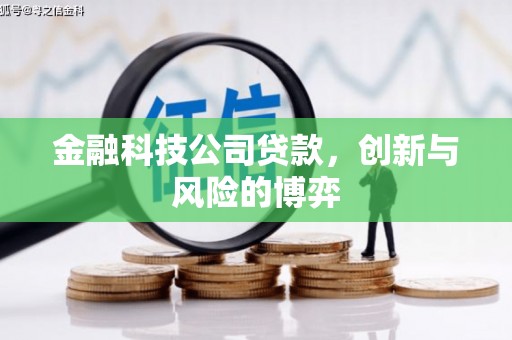 平度金融科技公司贷款，创新与风险的博弈