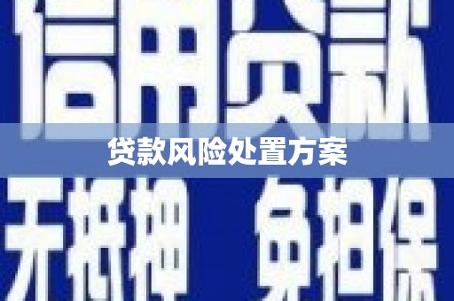 平度贷款风险处置方案
