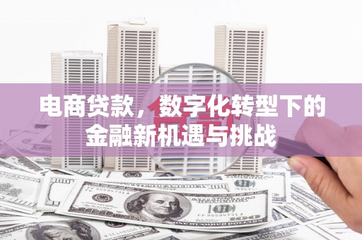 平度电商贷款，数字化转型下的金融新机遇与挑战