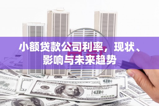 平度小额贷款公司利率，现状、影响与未来趋势