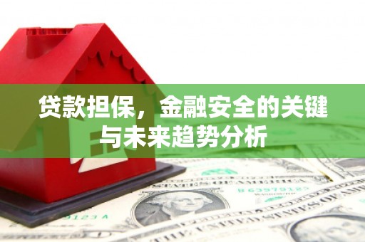 平度贷款担保，金融安全的关键与未来趋势分析