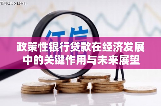 平度政策性银行贷款在经济发展中的关键作用与未来展望