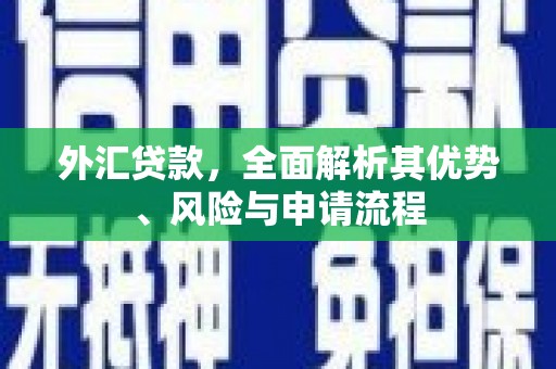 平度外汇贷款，全面解析其优势、风险与申请流程