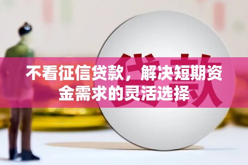 平度不看征信贷款，解决短期资金需求的灵活选择