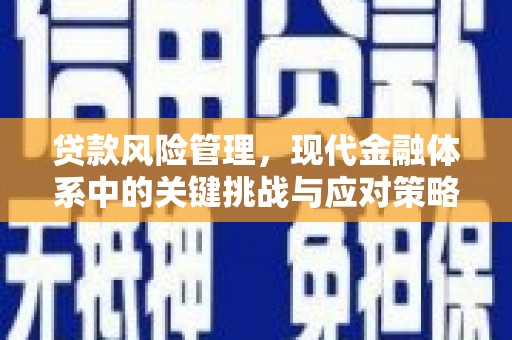 平度贷款风险管理，现代金融体系中的关键挑战与应对策略