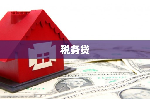 平度税务贷
