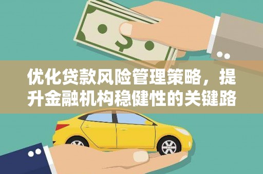 平度优化贷款风险管理策略，提升金融机构稳健性的关键路径