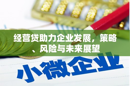 平度经营贷助力企业发展，策略、风险与未来展望