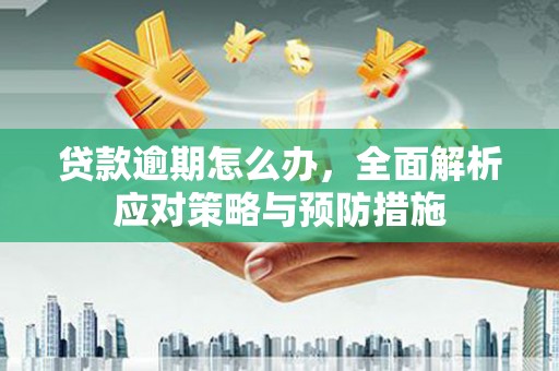 平度贷款逾期怎么办，全面解析应对策略与预防措施