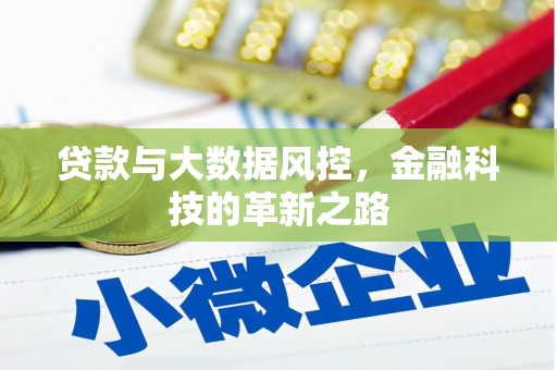 平度贷款与大数据风控，金融科技的革新之路