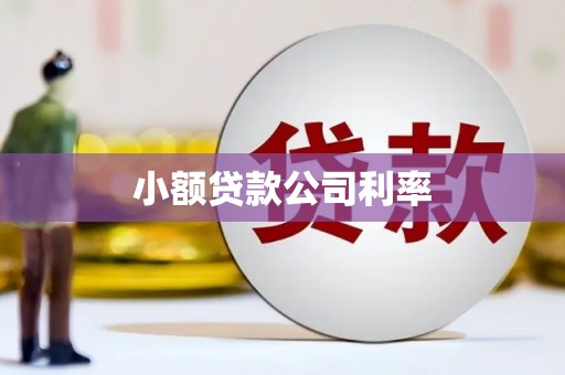 平度小额贷款公司利率