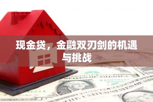 平度现金贷，金融双刃剑的机遇与挑战