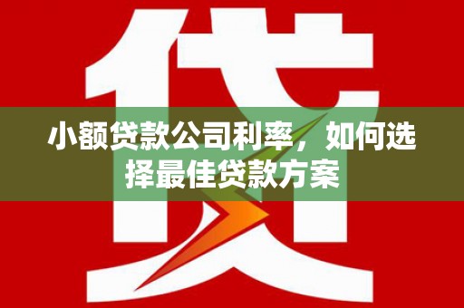 平度小额贷款公司利率，如何选择最佳贷款方案