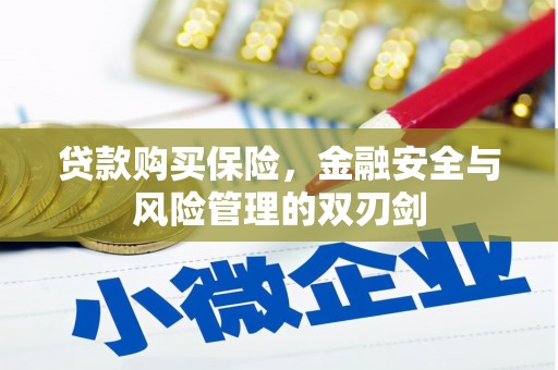 平度贷款购买保险，金融安全与风险管理的双刃剑
