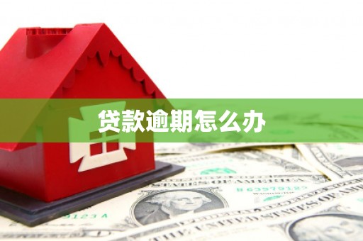 平度贷款逾期怎么办