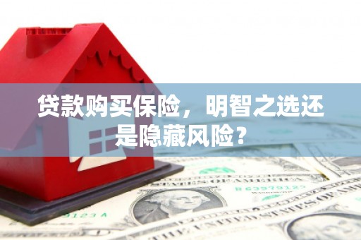 平度贷款购买保险，明智之选还是隐藏风险？