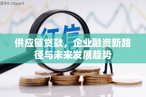 平度供应链贷款，企业融资新路径与未来发展趋势