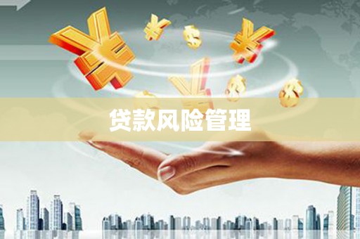 平度贷款风险管理