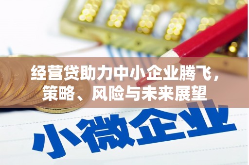 平度经营贷助力中小企业腾飞，策略、风险与未来展望