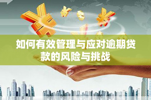 平度如何有效管理与应对逾期贷款的风险与挑战