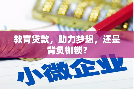 平度教育贷款，助力梦想，还是背负枷锁？