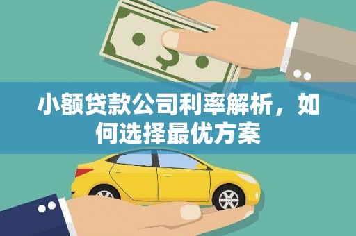 平度小额贷款公司利率解析，如何选择最优方案