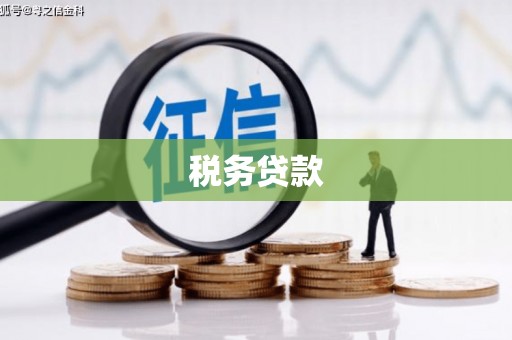 平度税务贷款