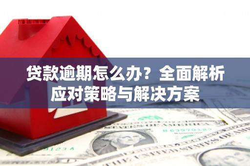 平度贷款逾期怎么办？全面解析应对策略与解决方案