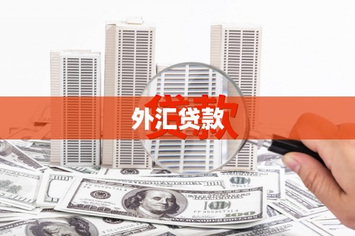 平度外汇贷款