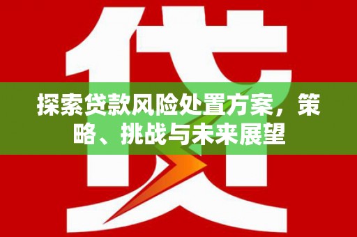 平度探索贷款风险处置方案，策略、挑战与未来展望