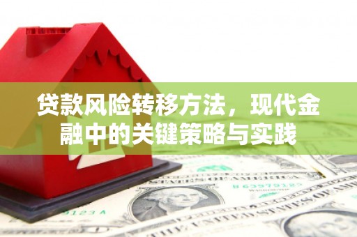 平度贷款风险转移方法，现代金融中的关键策略与实践