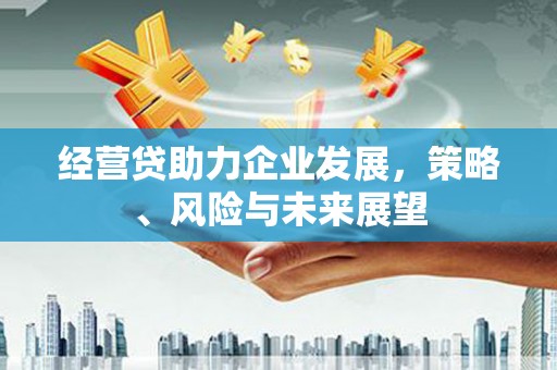 平度经营贷助力企业发展，策略、风险与未来展望