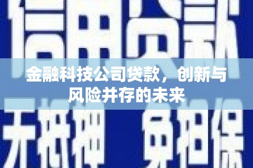 平度金融科技公司贷款，创新与风险并存的未来