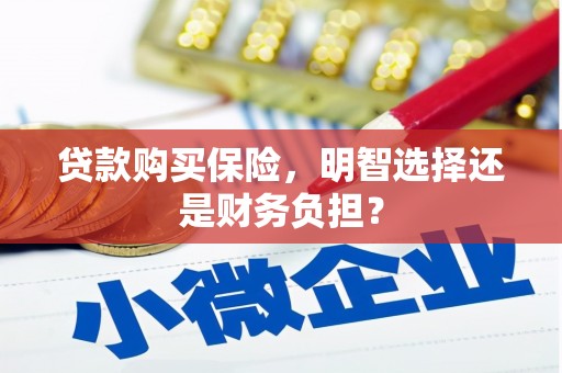 平度贷款购买保险，明智选择还是财务负担？