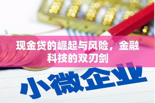 平度现金贷的崛起与风险，金融科技的双刃剑