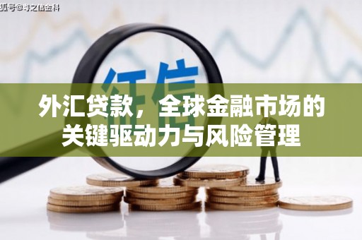 平度外汇贷款，全球金融市场的关键驱动力与风险管理