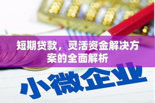 平度短期贷款，灵活资金解决方案的全面解析