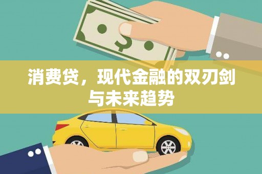 平度消费贷，现代金融的双刃剑与未来趋势