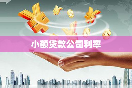 平度小额贷款公司利率