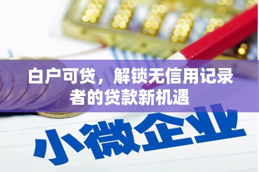 平度白户可贷，解锁无信用记录者的贷款新机遇